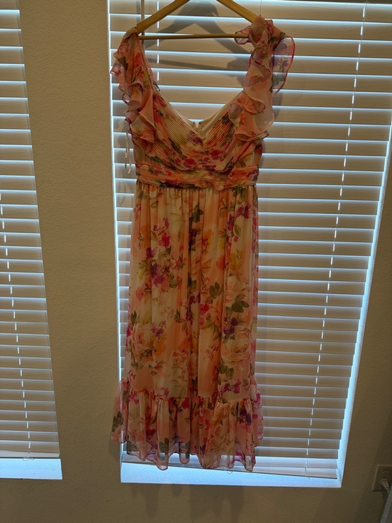 Birdy Grey Dresses & Skirts - Birdy Grey Soft Blush Ruffle Dress